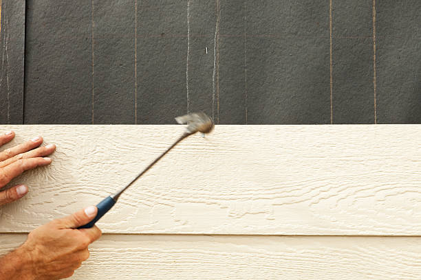 Best Custom Siding Design  in Ruidoso Downs, NM
